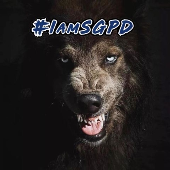 Meet your Posher, Wachi - Picture 1 of 1